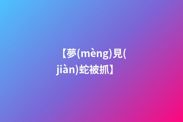 【夢(mèng)見(jiàn)蛇被抓】