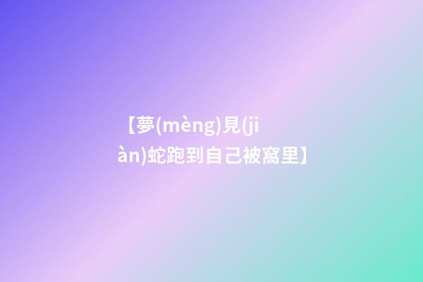 【夢(mèng)見(jiàn)蛇跑到自己被窩里】
