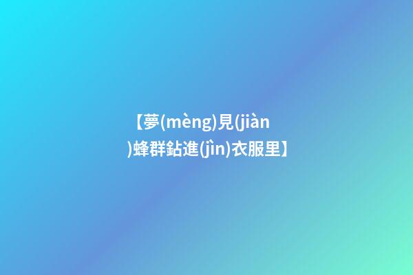 【夢(mèng)見(jiàn)蜂群鉆進(jìn)衣服里】