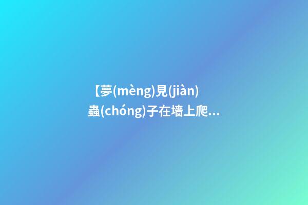 【夢(mèng)見(jiàn)蟲(chóng)子在墻上爬】