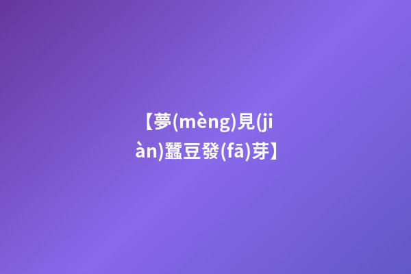 【夢(mèng)見(jiàn)蠶豆發(fā)芽】