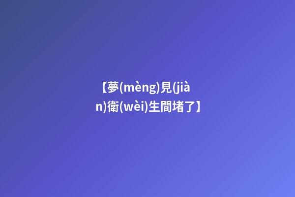 【夢(mèng)見(jiàn)衛(wèi)生間堵了】