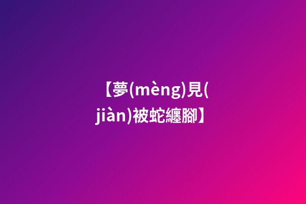 【夢(mèng)見(jiàn)被蛇纏腳】
