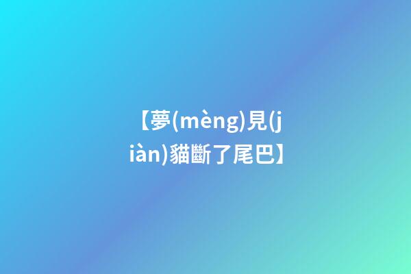 【夢(mèng)見(jiàn)貓斷了尾巴】