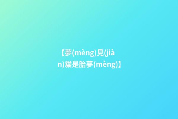 【夢(mèng)見(jiàn)貓是胎夢(mèng)】