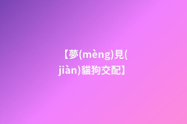 【夢(mèng)見(jiàn)貓狗交配】