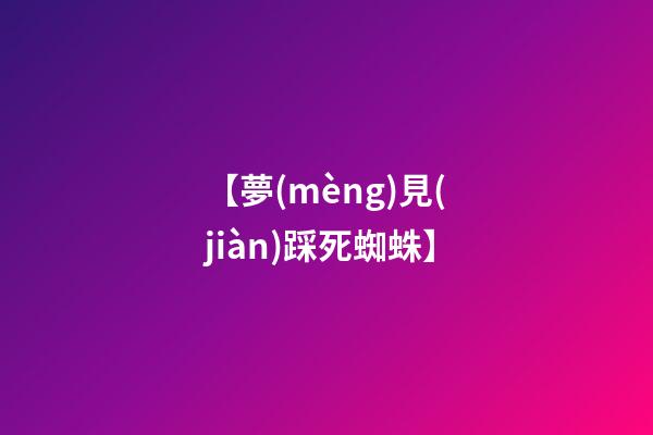 【夢(mèng)見(jiàn)踩死蜘蛛】