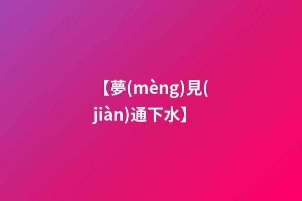 【夢(mèng)見(jiàn)通下水】
