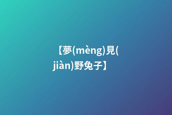 【夢(mèng)見(jiàn)野兔子】