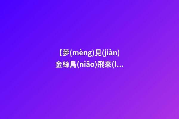 【夢(mèng)見(jiàn)金絲鳥(niǎo)飛來(lái)身邊】