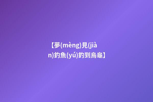 【夢(mèng)見(jiàn)釣魚(yú)釣到烏龜】