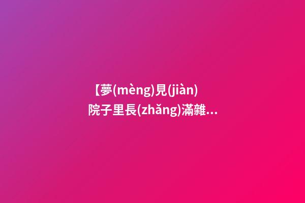【夢(mèng)見(jiàn)院子里長(zhǎng)滿雜草】