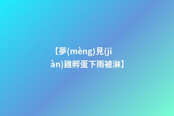 【夢(mèng)見(jiàn)雞孵蛋下雨被淋】