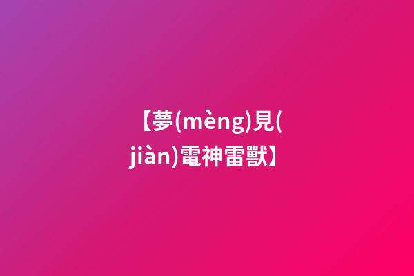 【夢(mèng)見(jiàn)電神雷獸】