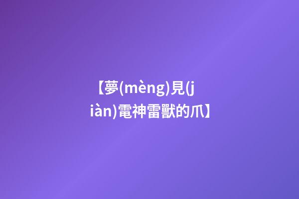 【夢(mèng)見(jiàn)電神雷獸的爪】