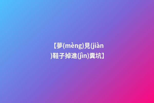 【夢(mèng)見(jiàn)鞋子掉進(jìn)糞坑】