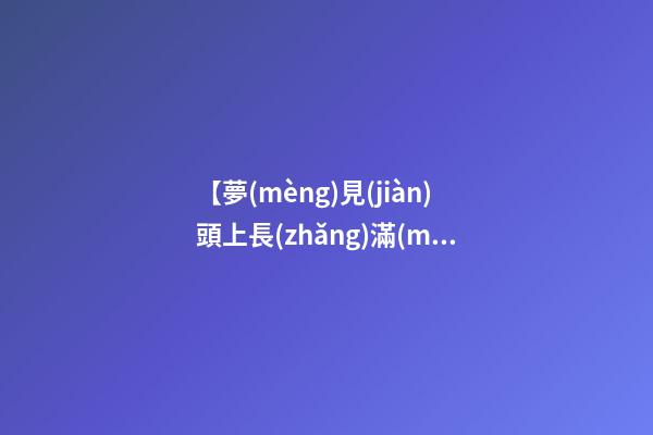 【夢(mèng)見(jiàn)頭上長(zhǎng)滿(mǎn)虱子】