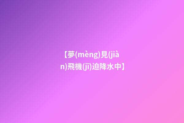 【夢(mèng)見(jiàn)飛機(jī)迫降水中】