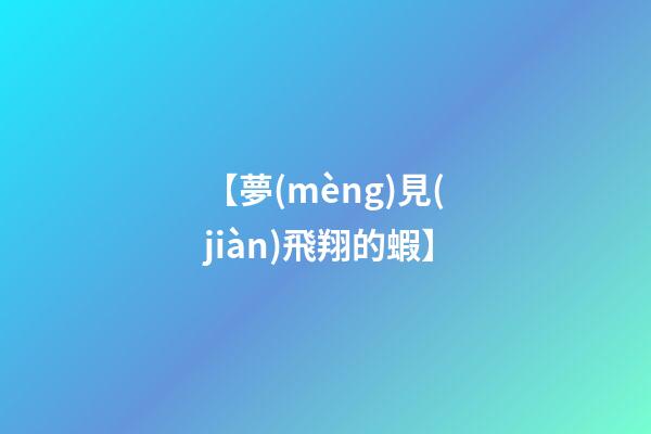 【夢(mèng)見(jiàn)飛翔的蝦】