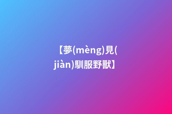 【夢(mèng)見(jiàn)馴服野獸】