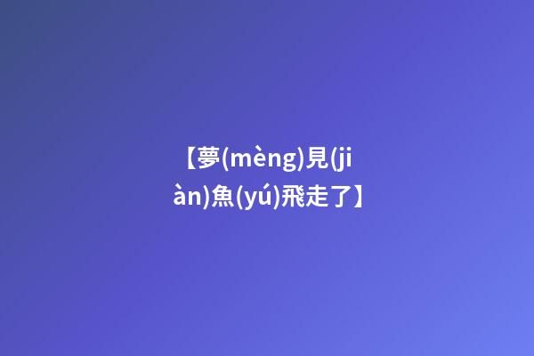【夢(mèng)見(jiàn)魚(yú)飛走了】