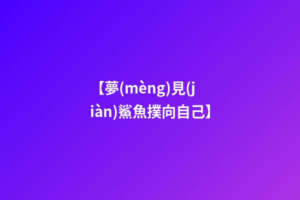 【夢(mèng)見(jiàn)鯊魚撲向自己】