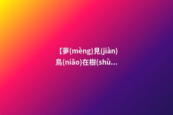 【夢(mèng)見(jiàn)鳥(niǎo)在樹(shù)上】