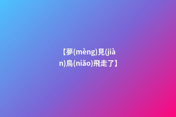 【夢(mèng)見(jiàn)鳥(niǎo)飛走了】