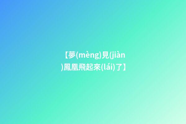 【夢(mèng)見(jiàn)鳳凰飛起來(lái)了】