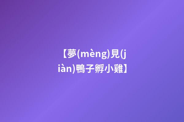 【夢(mèng)見(jiàn)鴨子孵小雞】
