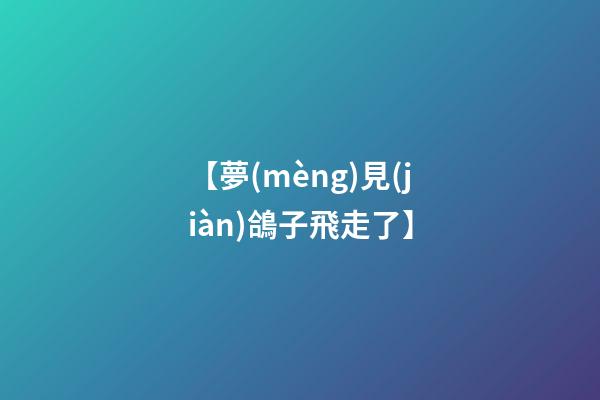 【夢(mèng)見(jiàn)鴿子飛走了】