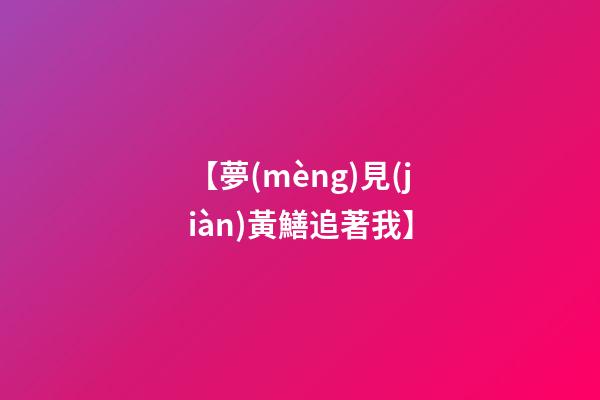 【夢(mèng)見(jiàn)黃鱔追著我】