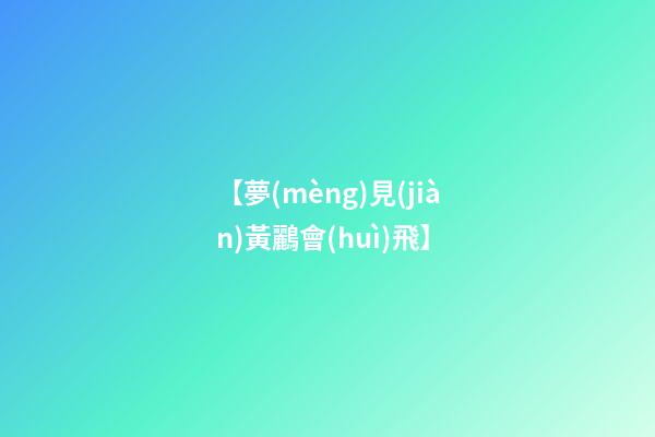 【夢(mèng)見(jiàn)黃鸝會(huì)飛】