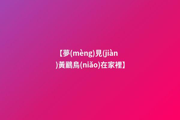 【夢(mèng)見(jiàn)黃鸝鳥(niǎo)在家裡】