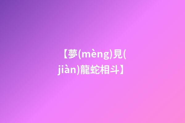 【夢(mèng)見(jiàn)龍蛇相斗】