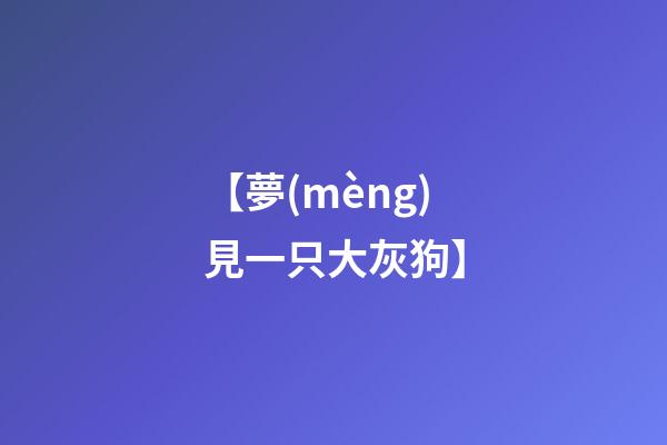 【夢(mèng)見一只大灰狗】