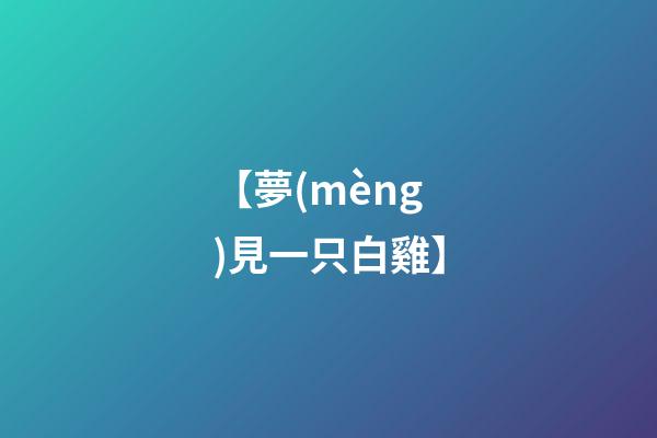 【夢(mèng)見一只白雞】