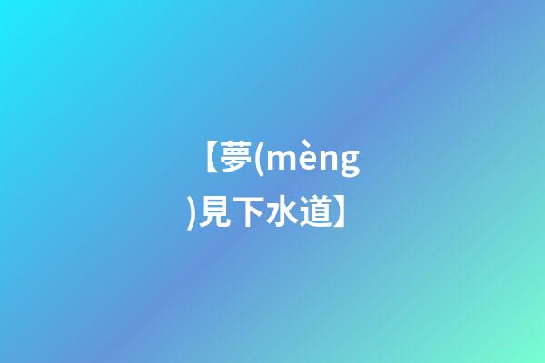 【夢(mèng)見下水道】
