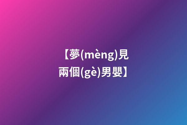 【夢(mèng)見兩個(gè)男嬰】