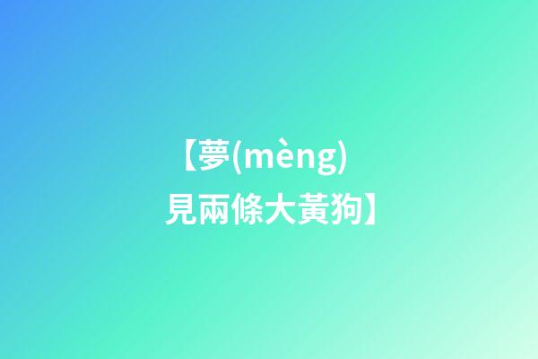 【夢(mèng)見兩條大黃狗】