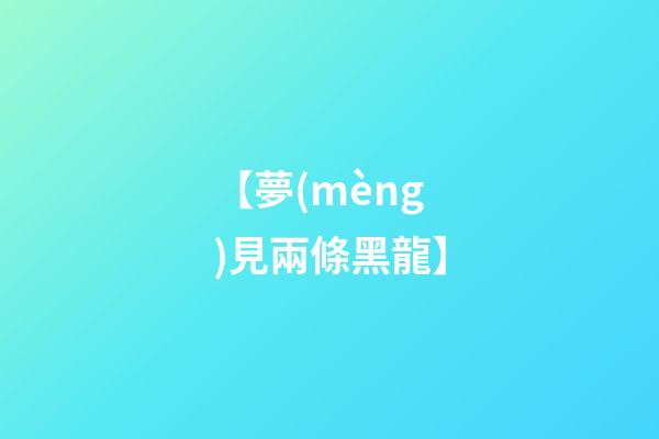 【夢(mèng)見兩條黑龍】