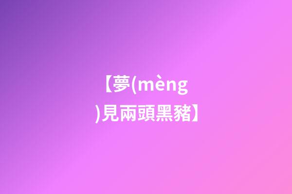 【夢(mèng)見兩頭黑豬】