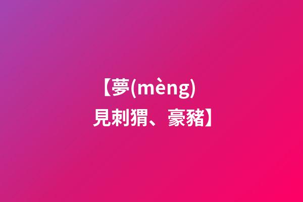 【夢(mèng)見刺猬、豪豬】