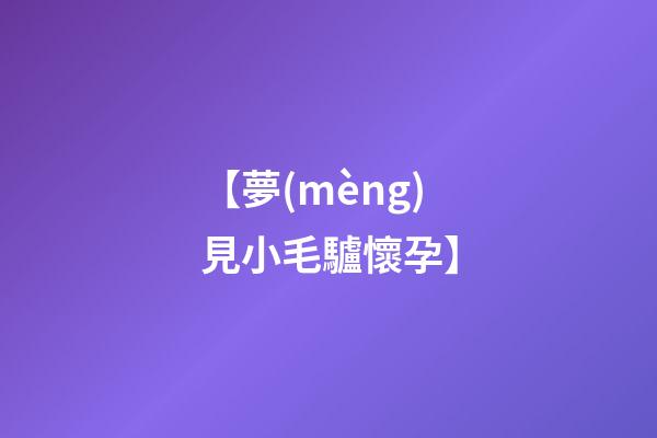 【夢(mèng)見小毛驢懷孕】