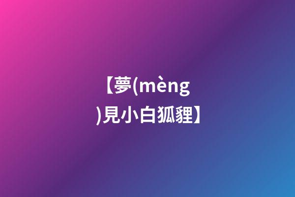 【夢(mèng)見小白狐貍】