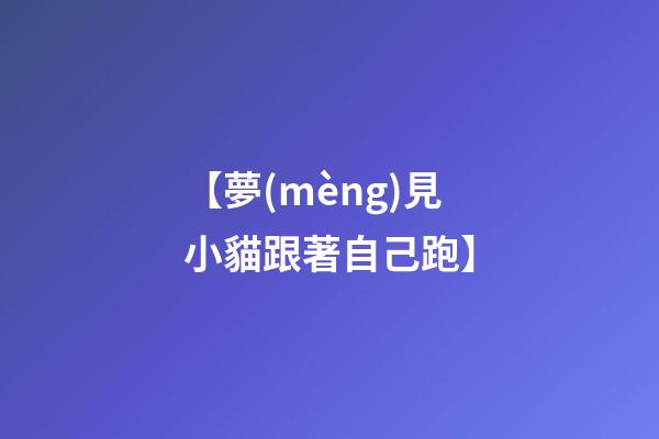 【夢(mèng)見小貓跟著自己跑】