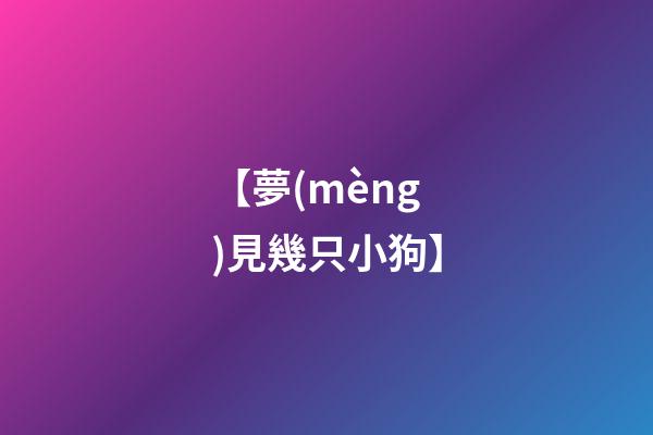 【夢(mèng)見幾只小狗】