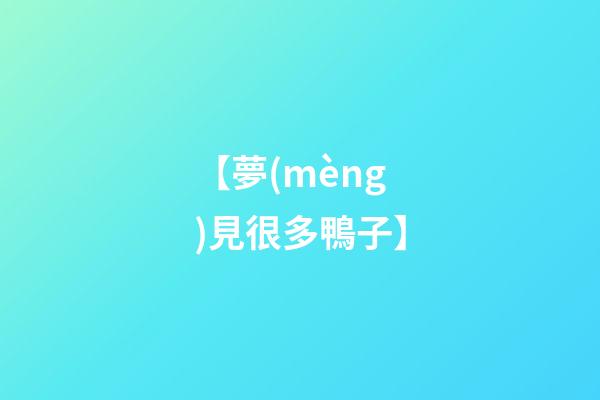 【夢(mèng)見很多鴨子】