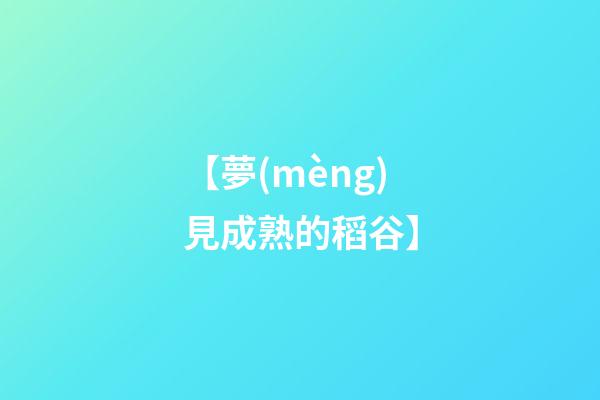 【夢(mèng)見成熟的稻谷】