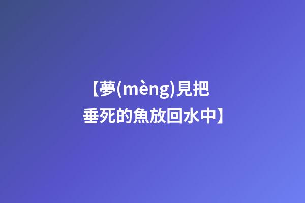 【夢(mèng)見把垂死的魚放回水中】